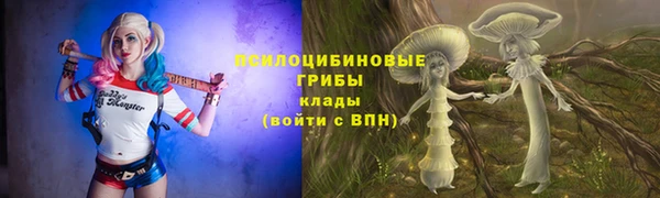 прущая мука Арсеньев