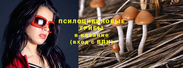 дурь Новозыбков