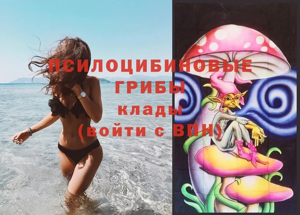 дурь Новозыбков